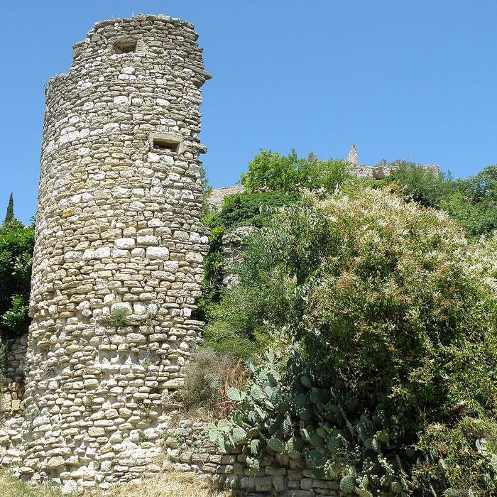 Photo de Ruines du Château dEntrechaux